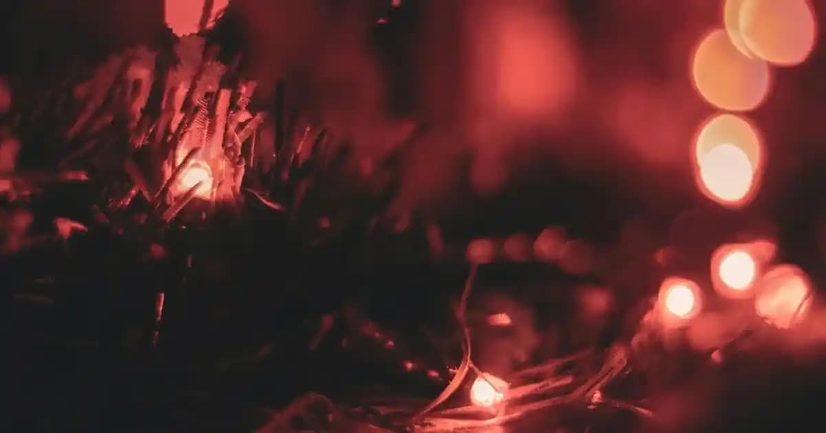 Canlı Renkli Saç Aksesuarları 3'lü Setler ile Kişisel Tarzınızı Yansıtın