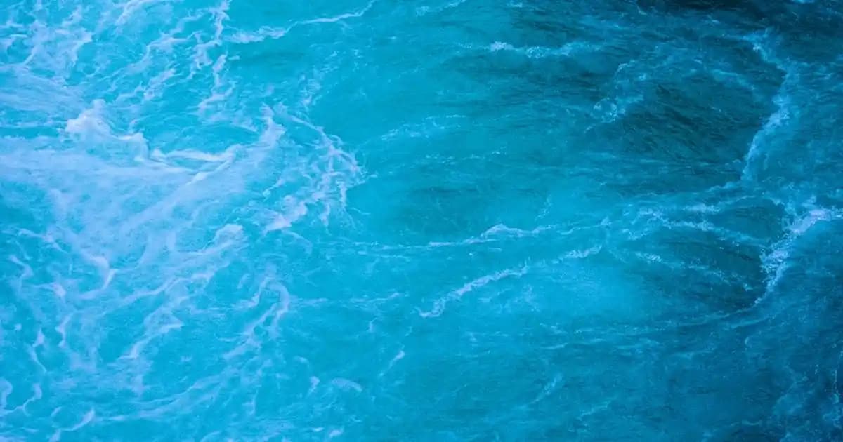 Doğal Güzellik Sırları: Çikolata, Kahve ve Saç Bakımında Kullanım Yöntemleri