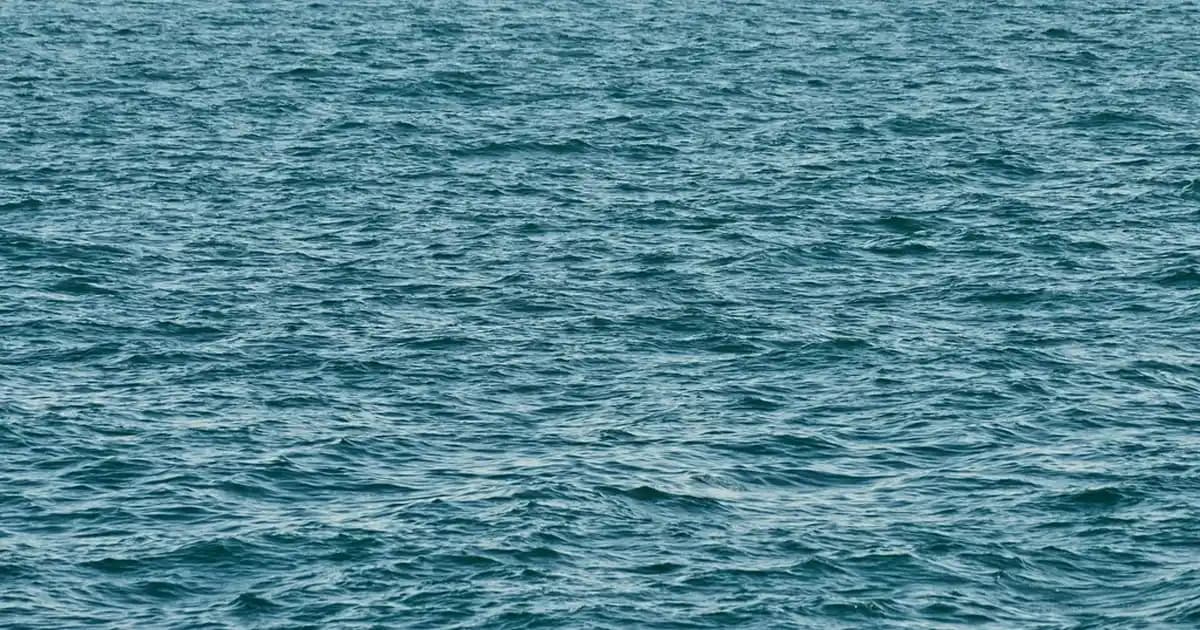 Doğal Kabak İçerikli Sabunlar: Cilt Sağlığını Destekleyen Güvenli ve Sürdürülebilir Ürünler