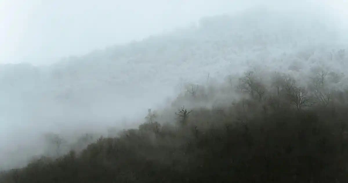 En İyi Saç Spreyi Modelleri ve Özellikleri Hakkında Kapsamlı Rehber
