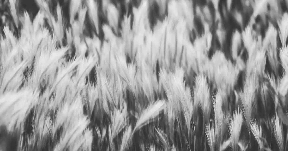 Gençleştirici Retinol Ürünleri: Cilt Yenileme ve Yaşlanma Karşıtı Bilimsel Yaklaşımlar