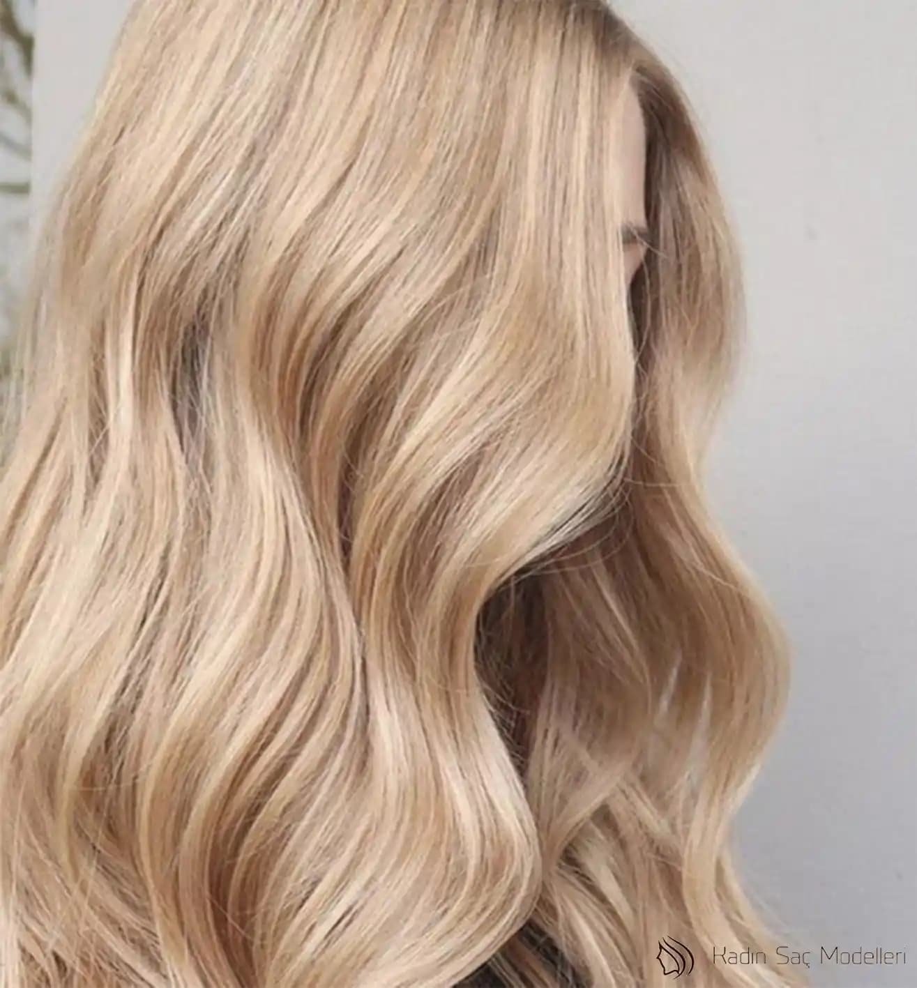 Globe Life Sigorta: Güvenilirlik ve Online Hizmetlerle Sigorta Çözümleri