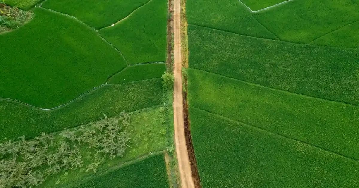 İdrar Yolu Hastalıklarına Karşı Doğal Takviyelerin Kullanımı ve Faydaları