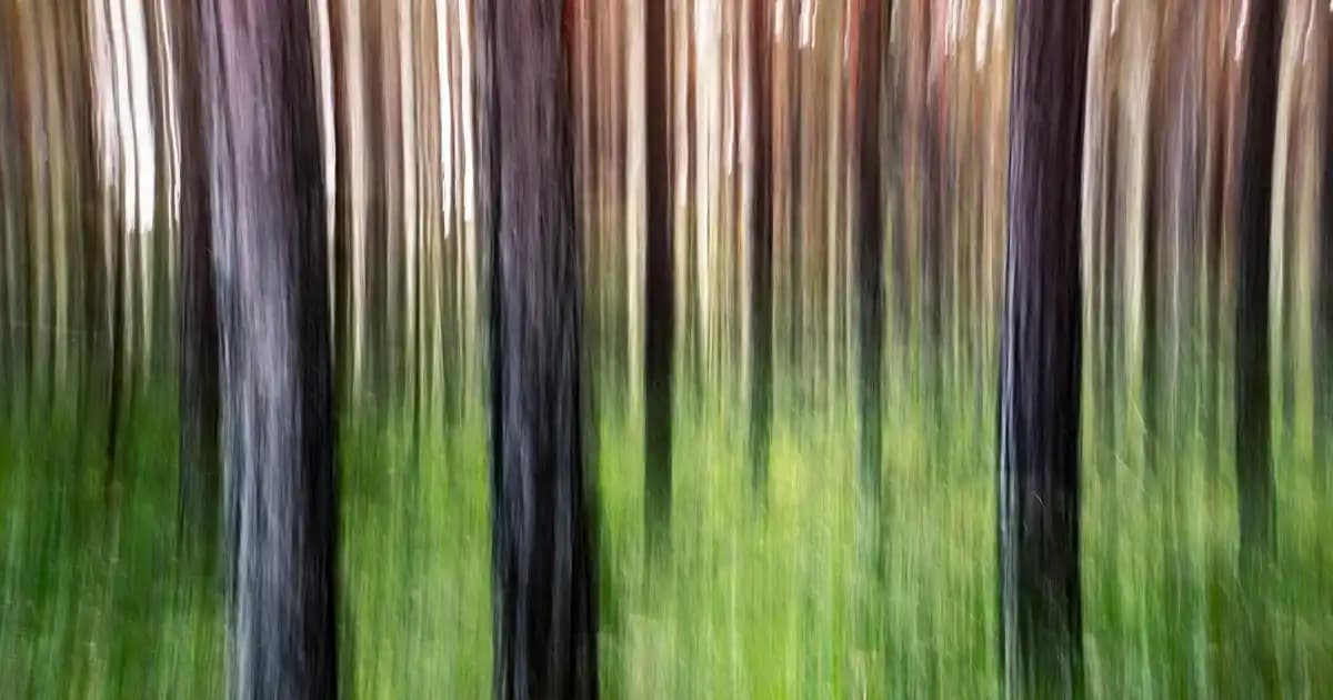 Kuru ve Mat Saçlar İçin Etkili Bakım Yöntemleri ve Doğru Uygulamalar