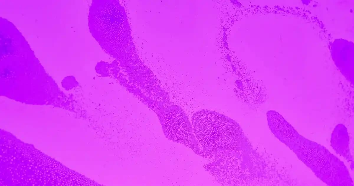 Kuru ve Zarar Görmüş Eller İçin Etkili Bakım Yöntemleri ve Doğru Ürün Seçimi