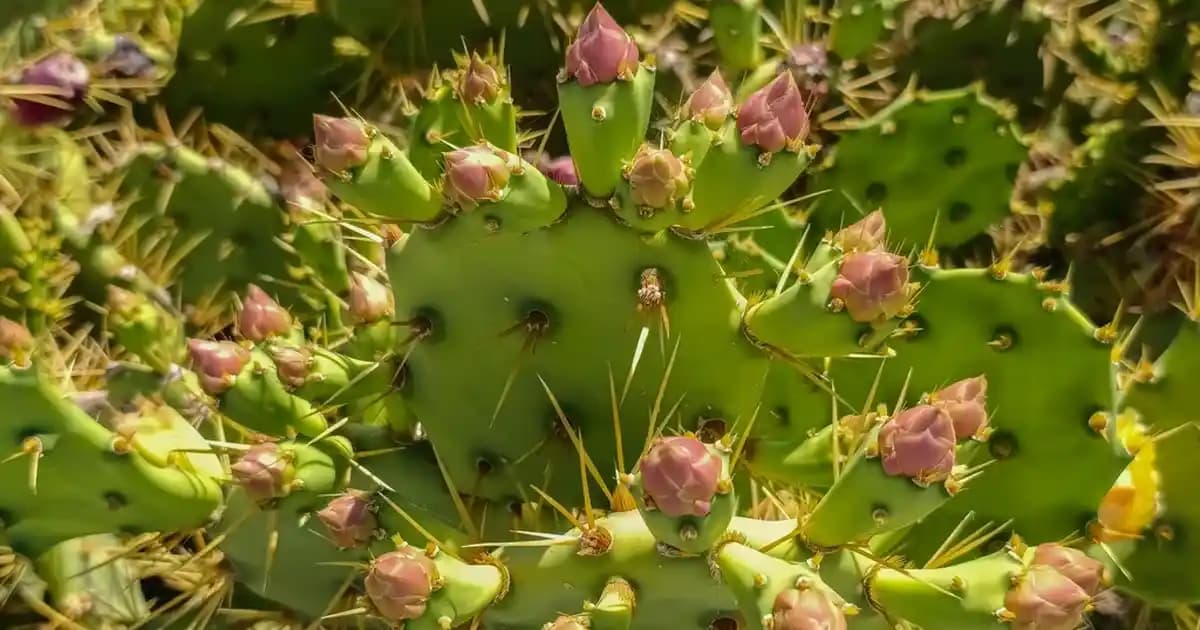 Maybelline Gözenek Kapatan Fondötenler: Özellikleri ve Kullanım İpuçları