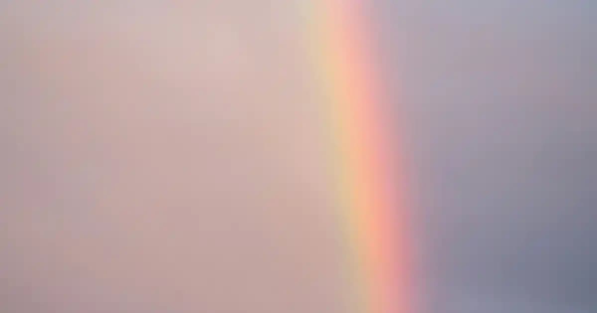 Menisküs ve Diz Ağrısı İçin Doğru Dizlik Seçimi ve Kullanım İpuçları