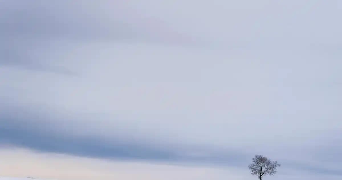 Pirinç Sütü Özleri ile Doğal ve Hassas Cilt Bakımı Rehberi