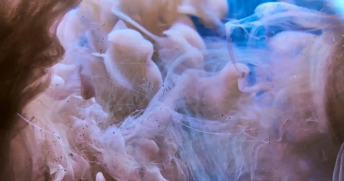 Rulo Deodorantların Kullanım Avantajları ve Neden Tercih Edilmeli