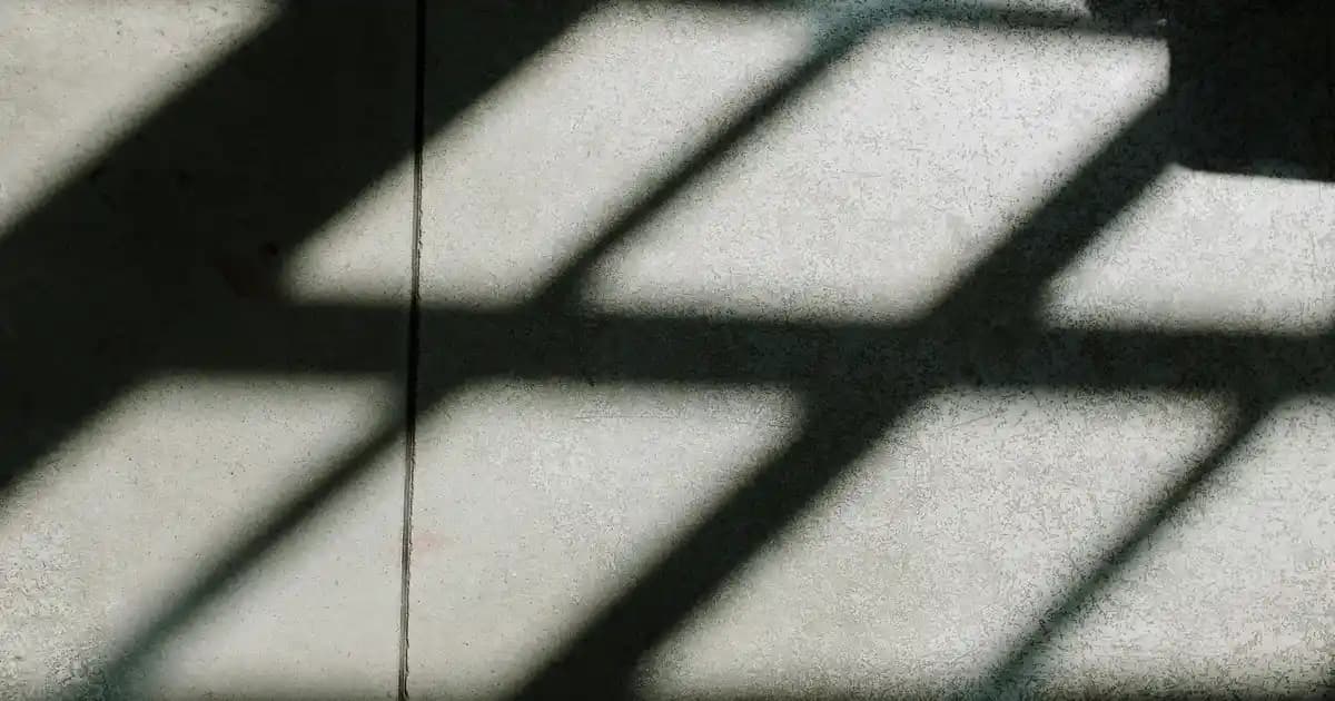 Saç Dökülmesine Karşı Doğal ve Bitkisel Çözümlerle Saç Sağlığını Destekleyin