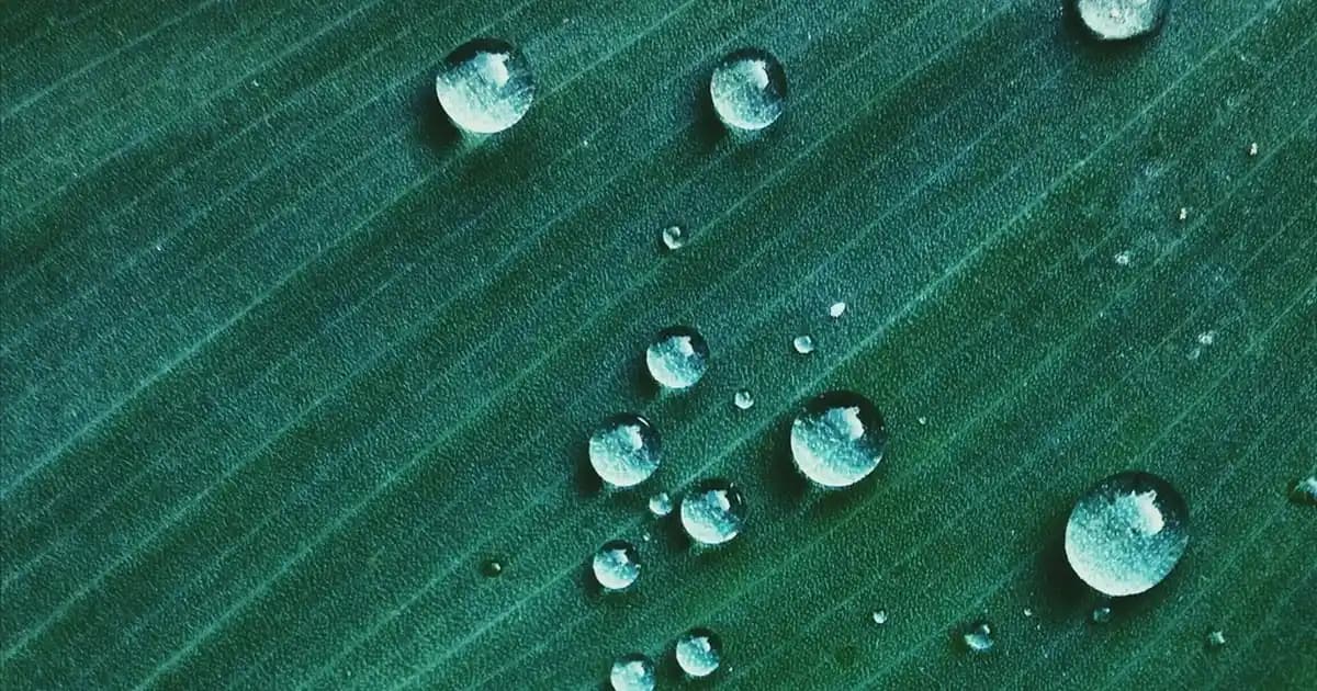 Saçların Güçlenmesi ve Parlaklığını Artıran Sivi Krem Kullanımının Önemi ve Doğru Uygulama Yöntemleri