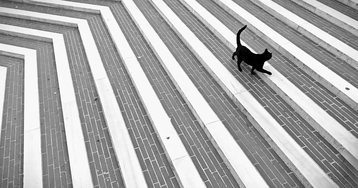 Yağlı ve Hassas Ciltler İçin Uygun Cilt Bakım Setleri ve Kullanım İpuçları