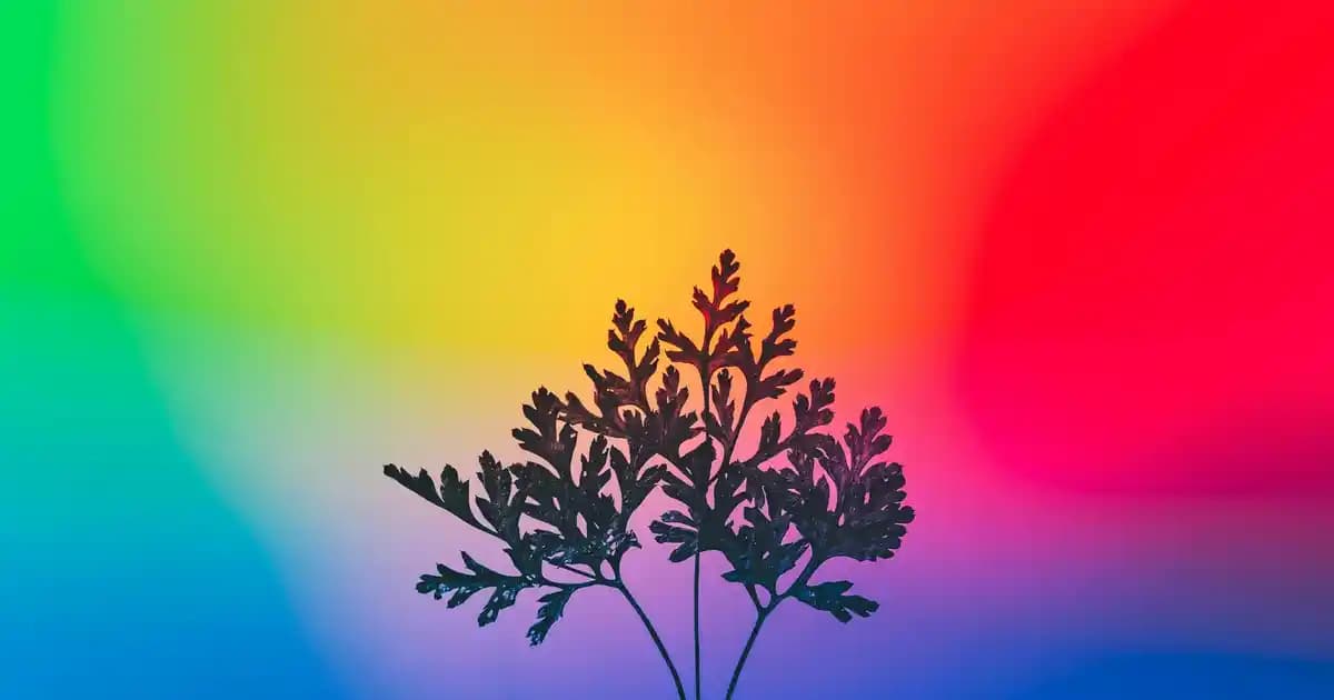 Yüksek SPF'li Güneş Koruma Jel Kremleri: Cilt Koruma ve Günlük Kullanım İpuçları