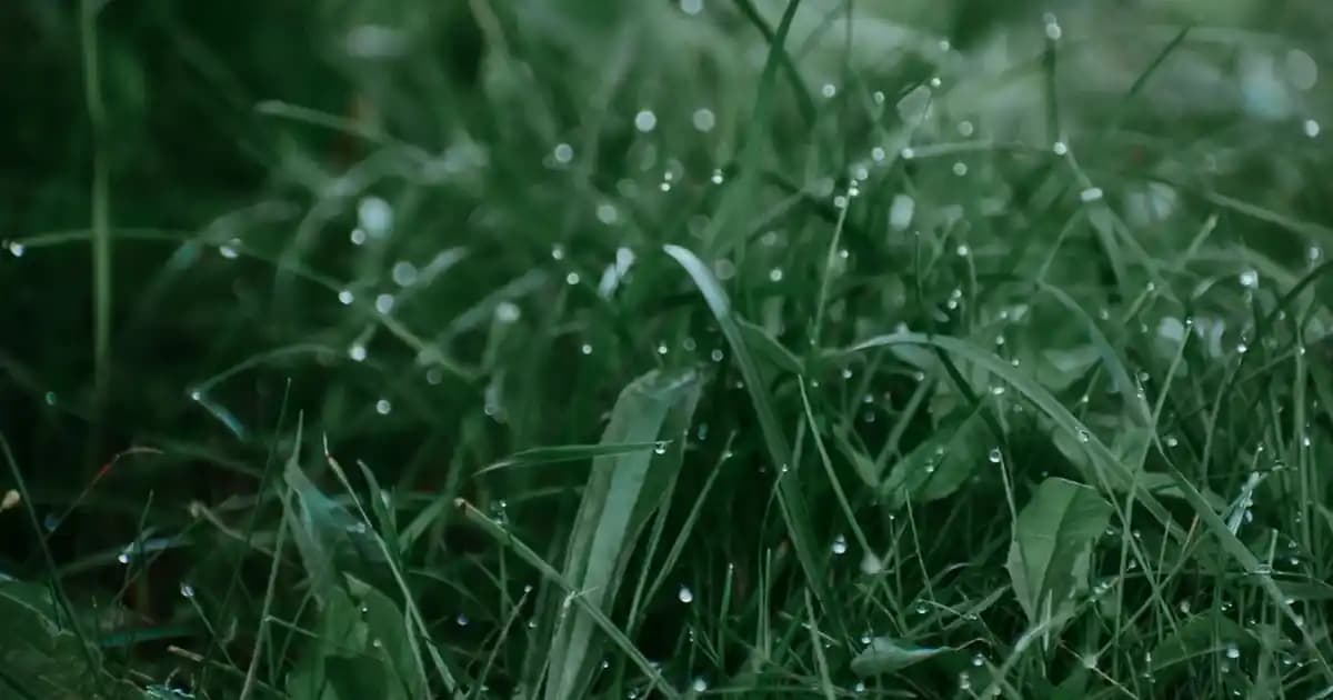 Hassas Ciltler İçin Doğru Kozmetik Seçenekleri ve Bakım İpuçları