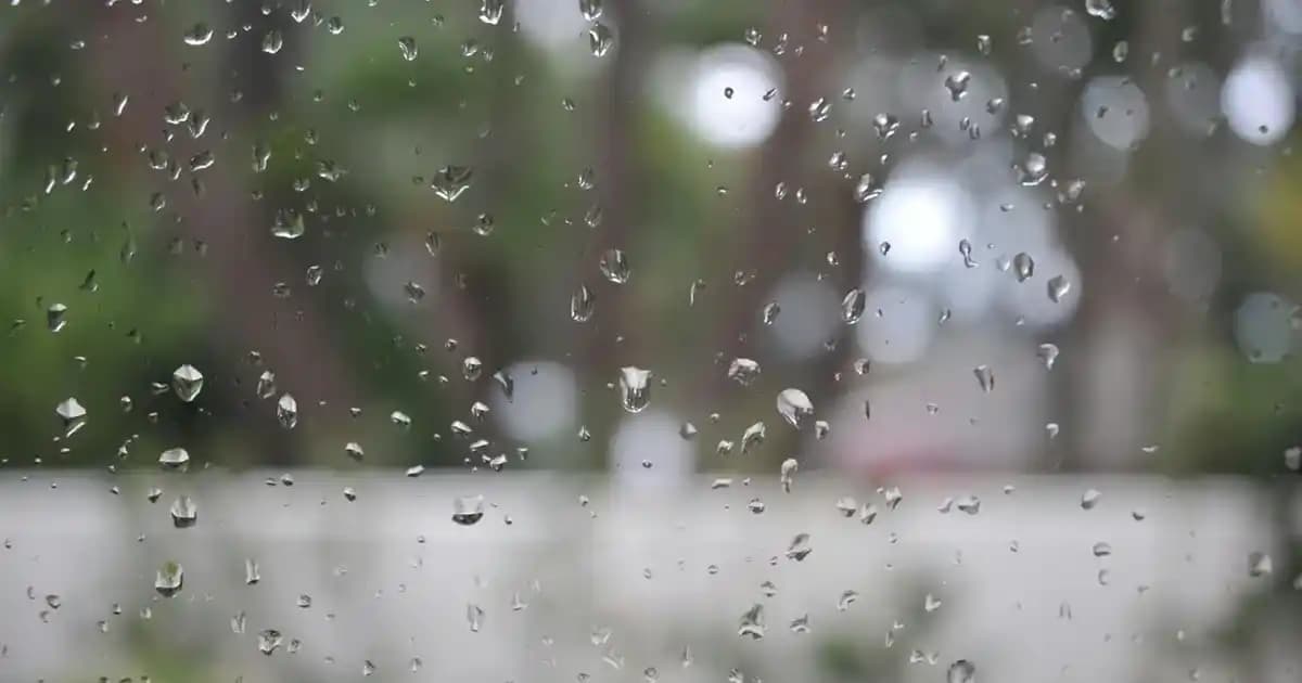 Hassas Ciltler İçin Nemlendirici Süt ve Sıvı Sabunlar: Güvenli ve Etkili Kullanım Rehberi