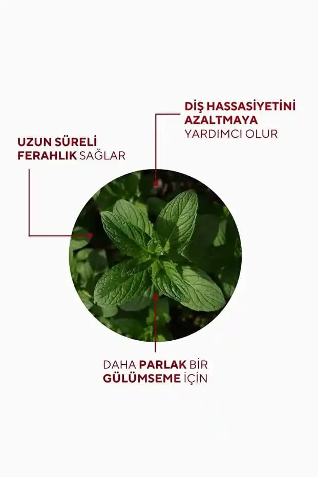 Hassas Dişler İçin Koruyucu Diş Macunları ve Diş Sağlığını Koruma Yöntemleri