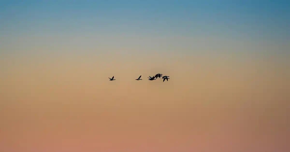 Kadın Özel Bölgesi Sağlığı ve Anatomi Eğitimi: Bilinçlenmenin Temel Taşları