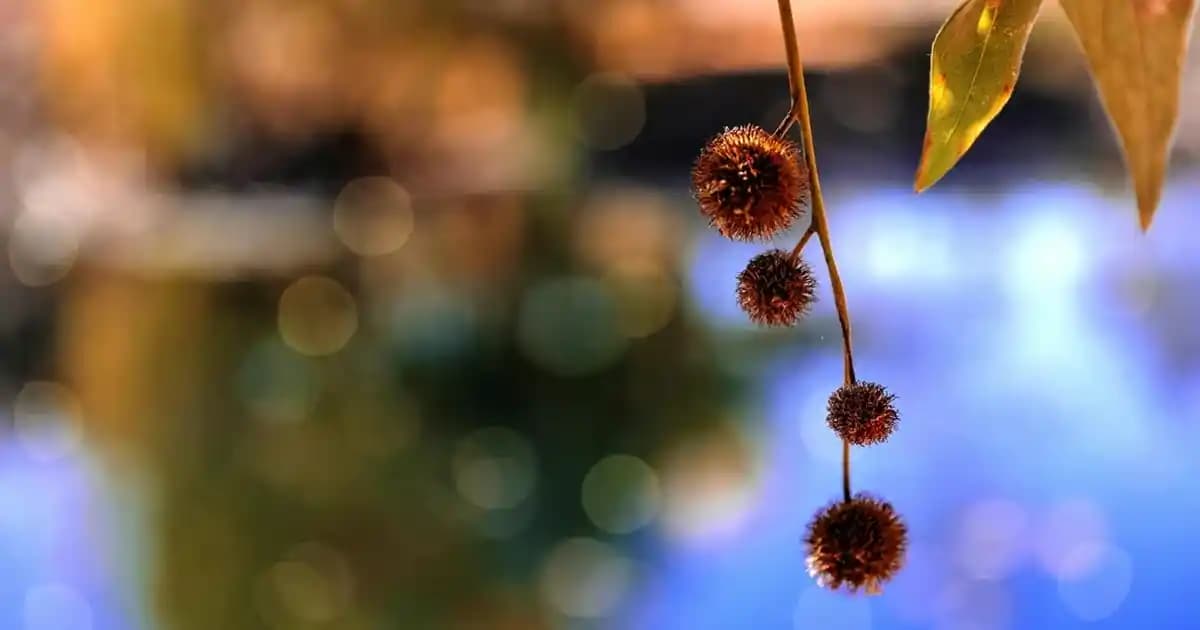 Kadınlar İçin Kozmetik ve Kendine Güven: Güçlü Bir İmaj Yaratmanın Temel Yolları