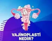 Kadınların Genital Bölgesi Estetik Bakımı: Güncel Yaklaşımlar ve Uygulamalar