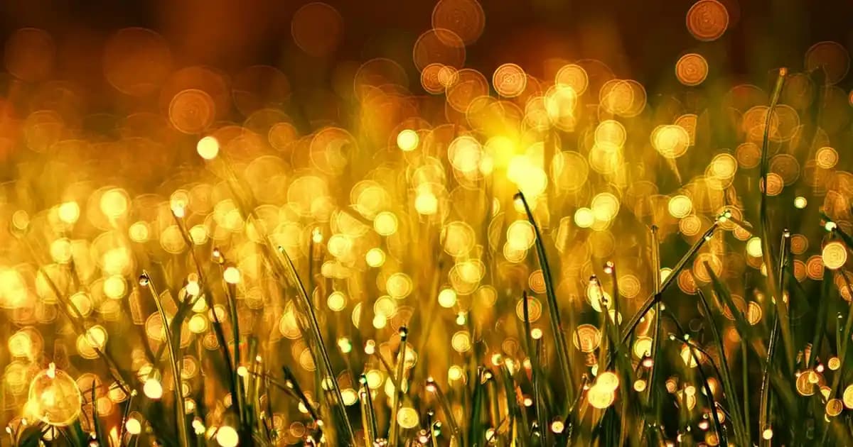 Kalıcı Siyah Göz Kalemi Likitleri: Uzun Süreli ve Güvenilir Kullanım Rehberi