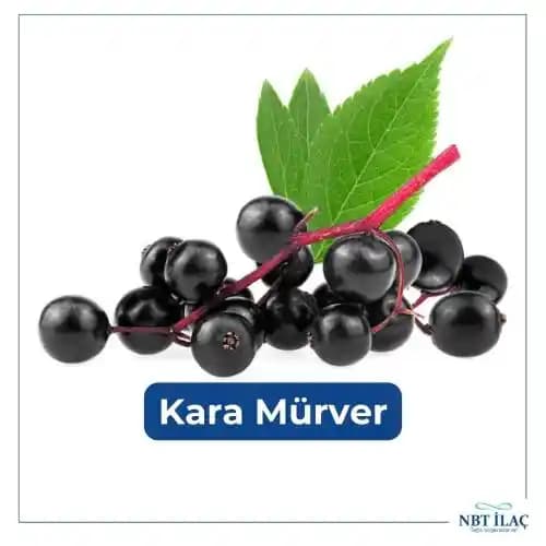 Kara Mürverin Cilt Sağlığına Faydaları ve Kullanım İpuçları