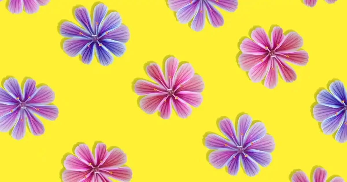 Kepekli Saçlar İçin Etkili Bakım Setleri ve Saç Derisi Sağlığını Koruma Yöntemleri