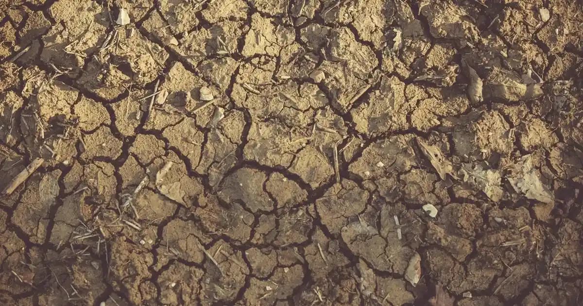 Kızıl Saç Boyasının Renk ve Parlaklığını Uzun Süre Koruma Yöntemleri