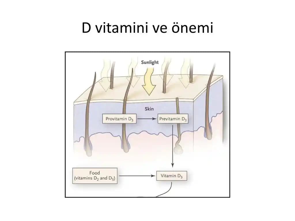 Kozmetik Ürünlerinde D Vitamini Kullanımının Cilt Sağlığına Etkileri ve Güncel Yaklaşımlar