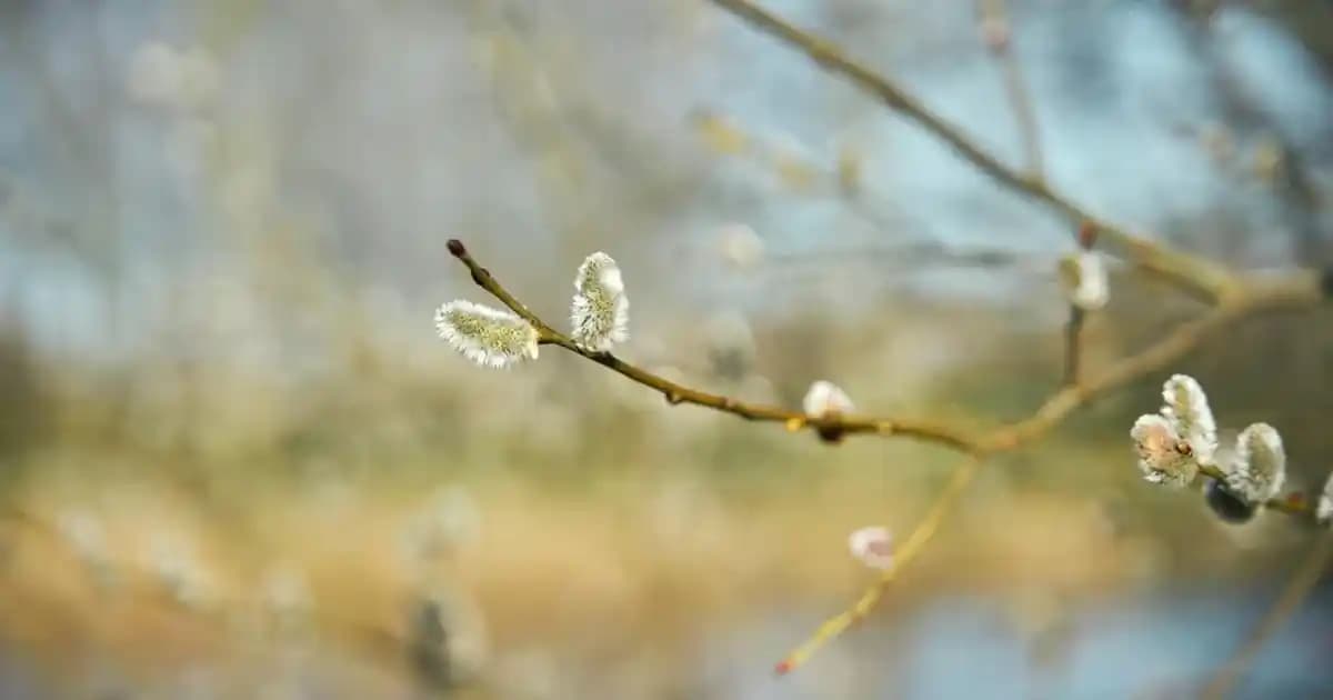 Kozmetik Ürünlerle Tırnak Sağlığını Artırma Yöntemleri ve Güncel Yaklaşımlar