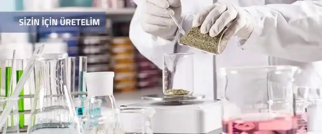 Kozmetik ve Gıda Takviyeleri Arasındaki Bağlantı: Güncel Trendler ve Bilimsel Perspektifler