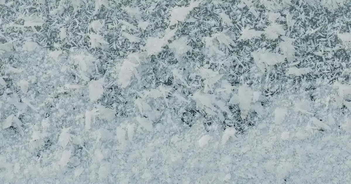 Küresel Güzellik ve Kişisel Bakımda Şampuan Marka Özellikleri Analizi