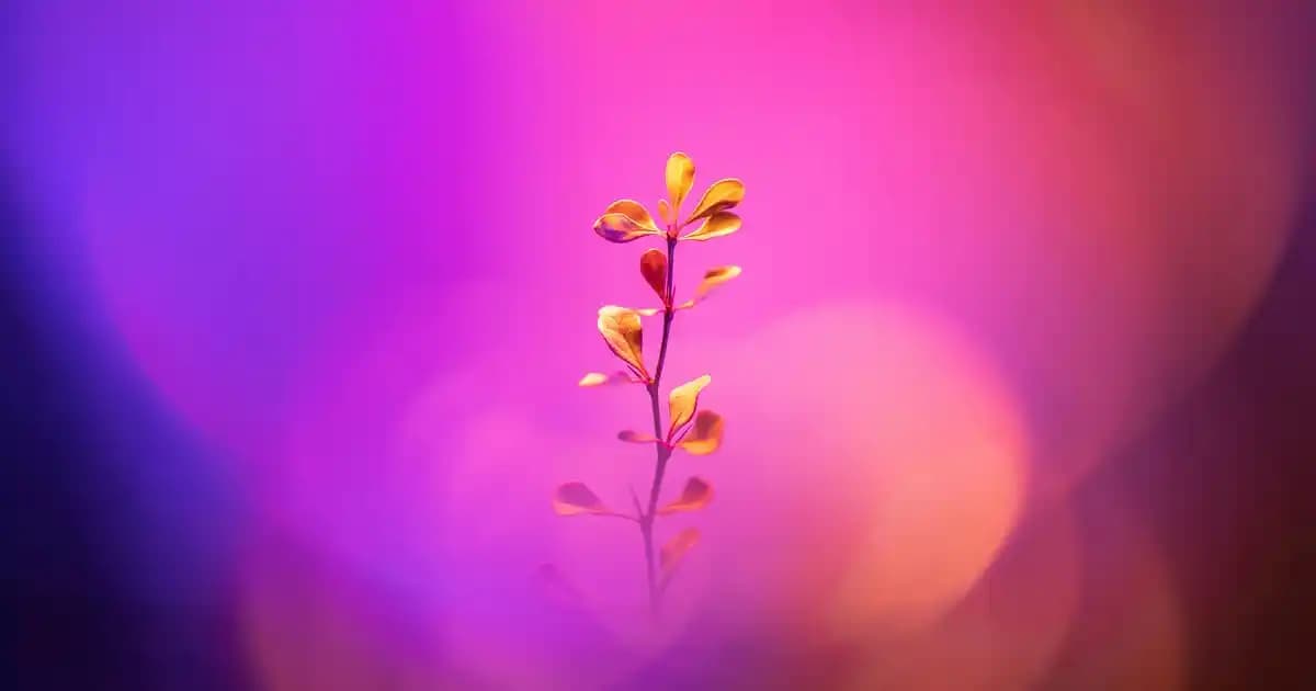 Lekeli Ciltler İçin Bakım Kremi Rehberi: Doğru Ürün Seçimi ve Kullanımı