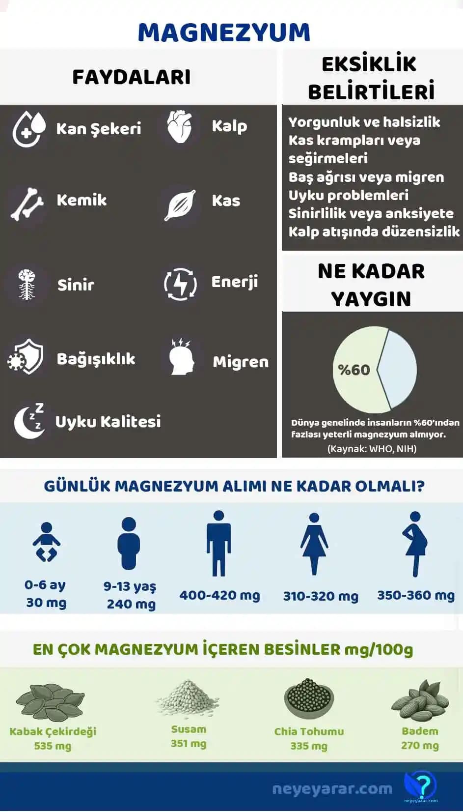 Magnezyumun Kozmetik ve Sağlık Alanındaki Rolü ve Faydaları Hakkında Kapsamlı Bilgi