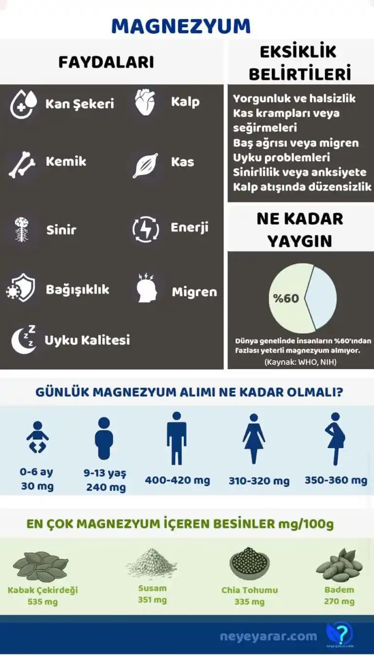 Magnezyumun Kozmetik ve Sağlık Üzerindeki Etkileri: Cilt ve Kas Sağlığına Farklı Yaklaşımlar