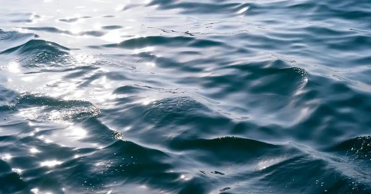 Maybelline Big Shot Maskara İncelemesi: Hacim ve Uzunluk Sağlayan Makyaj Ürünü