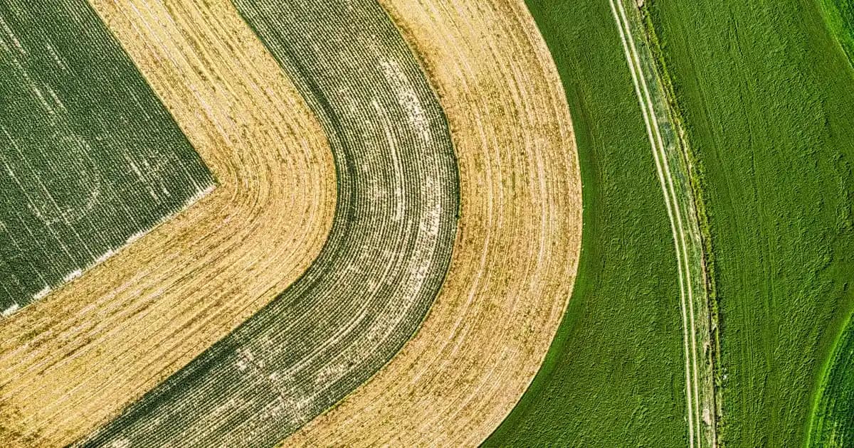 Parlak Görünüm İçin Doğru Fondöten Seçimi ve Uygulama Teknikleri
