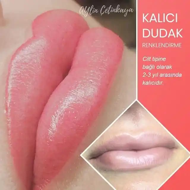 Parlak ve Kalıcı Dudak Rengi Seçenekleri ve Uygulama İpuçları