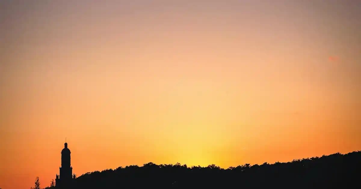 Parlaklık ve Siyah Nokta Karşıtı Jeller: Göz Sağlığını ve Ekran Kalitesini Artıran Çözümler