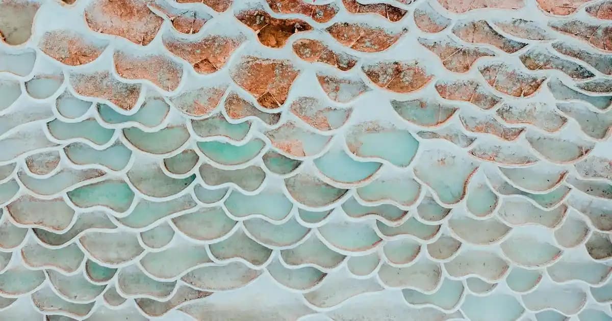 Plantur 39 Kafein Şampuanı ile Saç Dökülmesine Karşı Güçlü ve Doğal Bir Çözüm