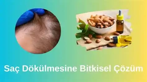 Saç Dökülmesine Karşı Doğal ve Bitkisel Çözüm Yöntemleri ve Kullanım İpuçları