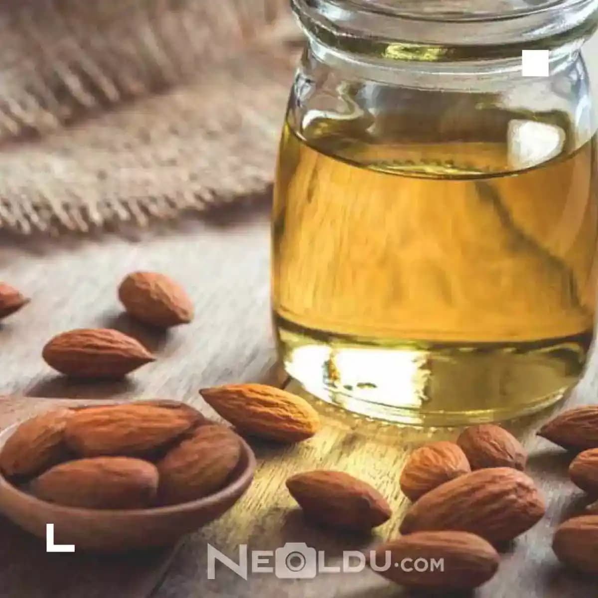 Saç Dökülmesini Önleyen Doğal Yağlar ve Kullanım Yöntemleri Hakkında Bilgiler