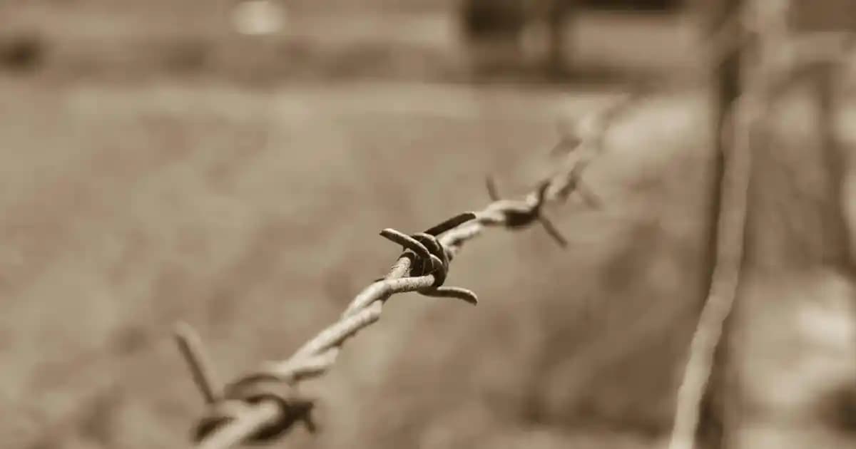 Saç Güçlendiren ve Parlaklık Veren Şampuanlar: Doğru Seçim ve Kullanım İpuçları