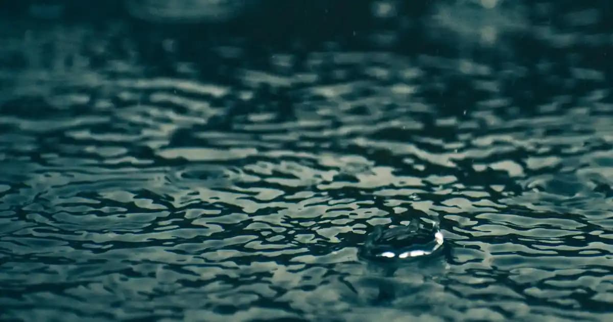 Saç Sağlığı ve Kafa Derisi Rahatsızlıklarına Yönelik Etkili Bakım Ürünleri Rehberi