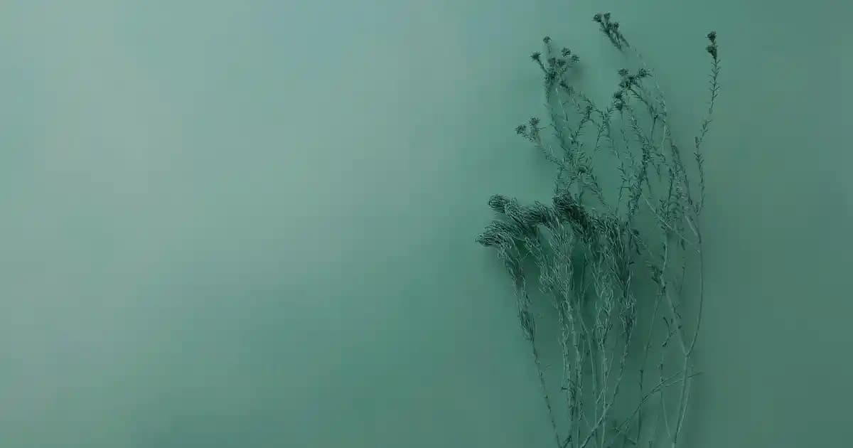 Sağlıklı Gülüş İçin Diş İpi Kullanımında Temel Tavsiyeler ve Doğru Teknikler