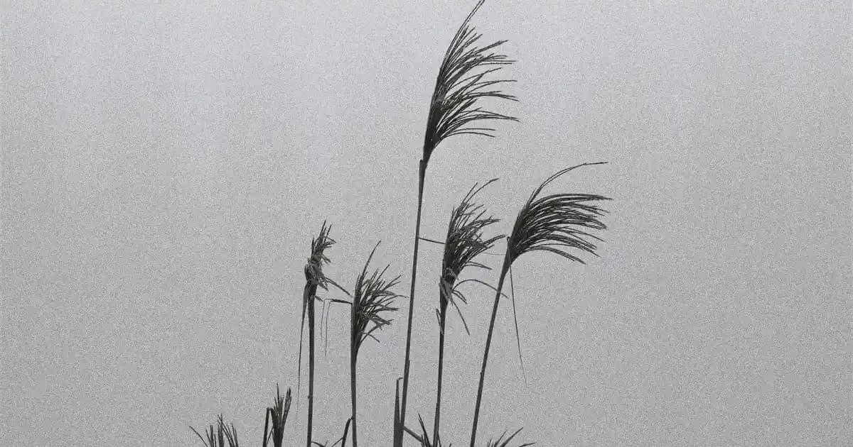 Sağlıklı Saç Bakımı İçin Güvenli Şampuan Kullanımı Rehberi