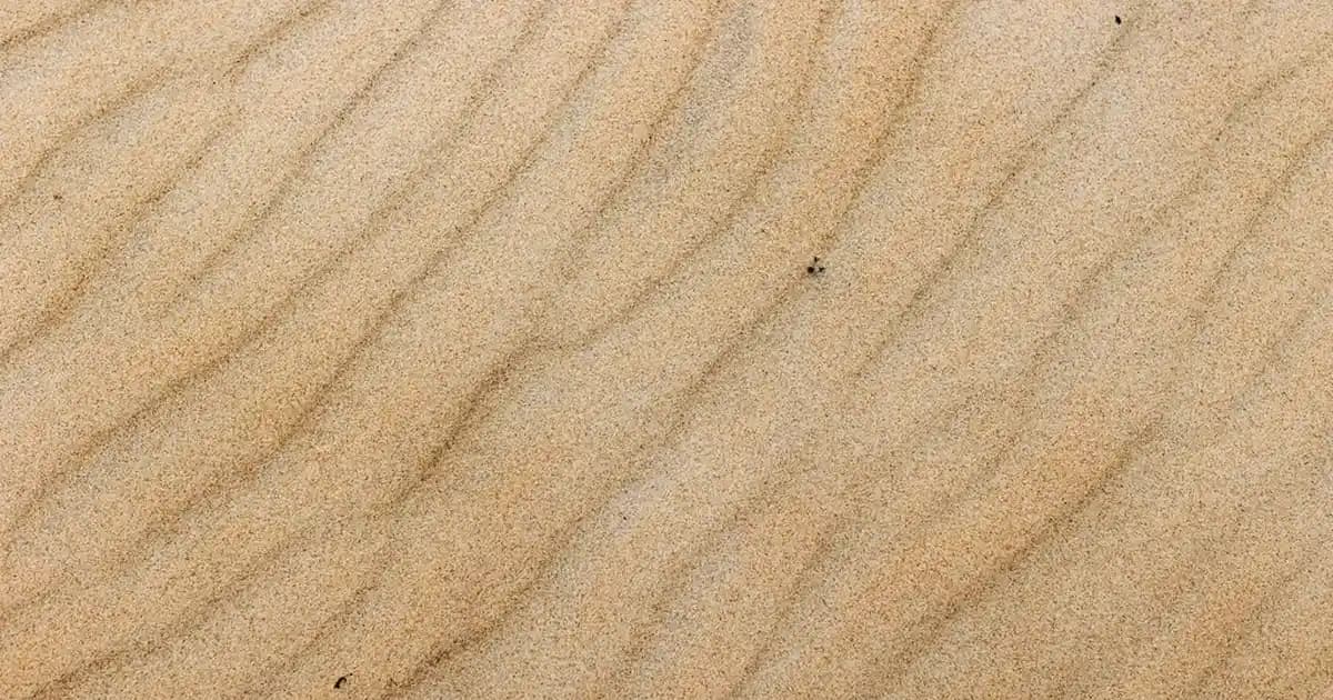 Siyah Saç Renk Tonları ve Bakım İpuçları: Sağlıklı ve Parlak Saçlar İçin Rehber