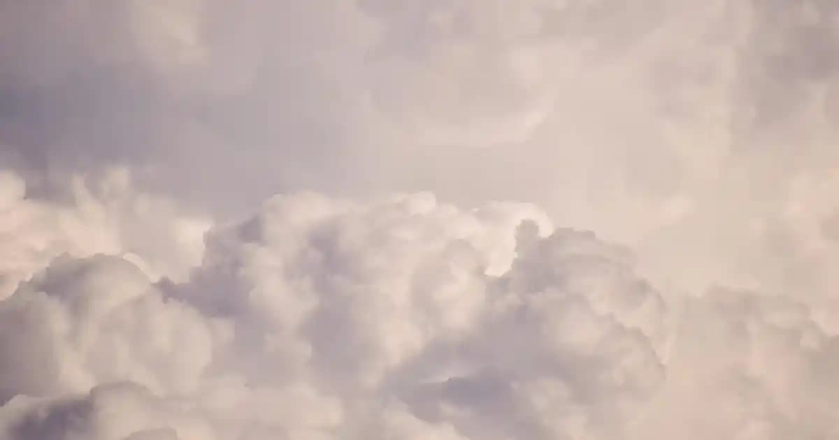 Tıraş Bıçağı Performansını Anlama ve Doğru Seçim Yapma Rehberi