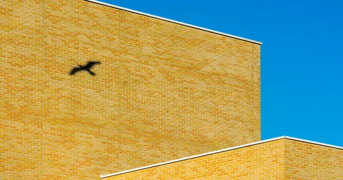 Tıraş Bıçağı Seçimi ve Kullanım İpuçları Günlük Kişisel Bakımda