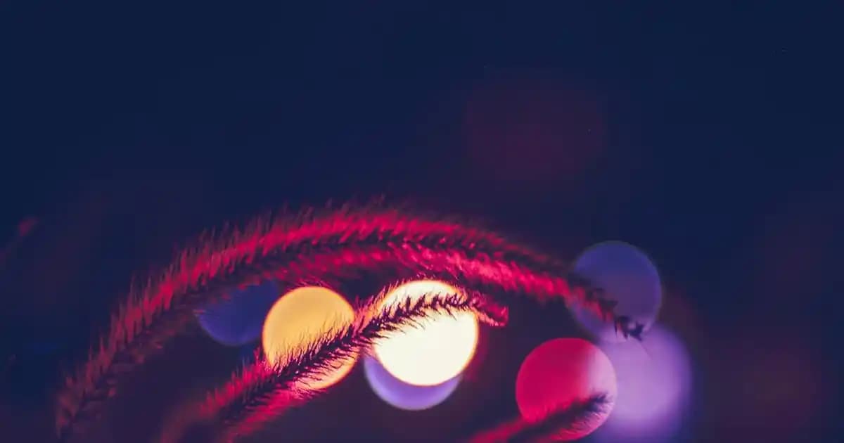 Tıraş Bıçakları: Bic ve Dorco Markalarının Özellikleri ve Karşılaştırması