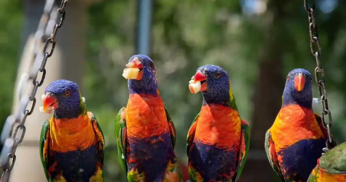 Tırnak Güçlendirme Sertleştirici Ojeler: Sağlıklı ve Dayanıklı Tırnaklar İçin Bilmeniz Gerekenler